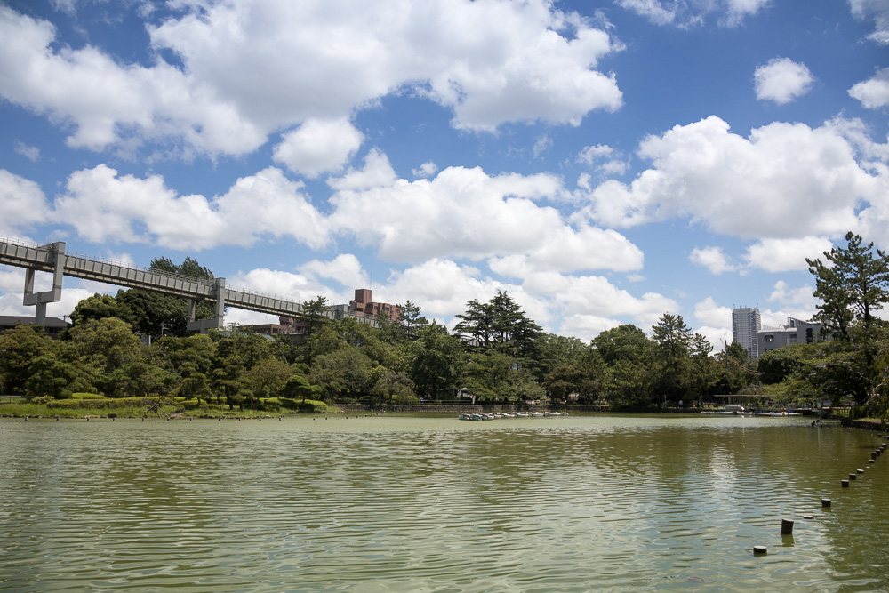 千葉公園の四季（2022/07/27）大暑から立秋へ